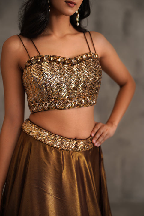 Bronze Embroidered Bustier And Lehanga