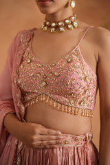 Pink Embroidered Blouse, Lehenga And Dupatta