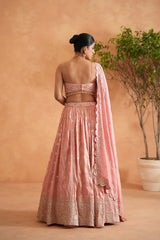 Pink Embroidered Blouse, Lehenga And Dupatta