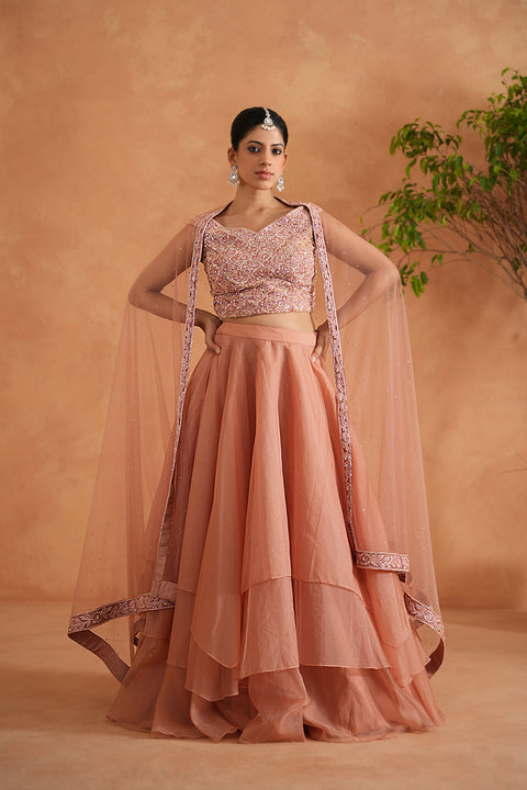 Peach Embroidered Blouse, Lehenga And Dupatta