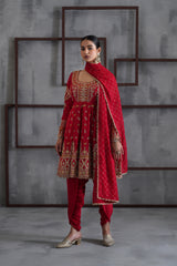 Red Embroidered Anarkali, Tulip Pants And Dupatta