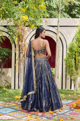 Navy Blue Embellished Bustier & Shimmer Organza Lehenga Set
