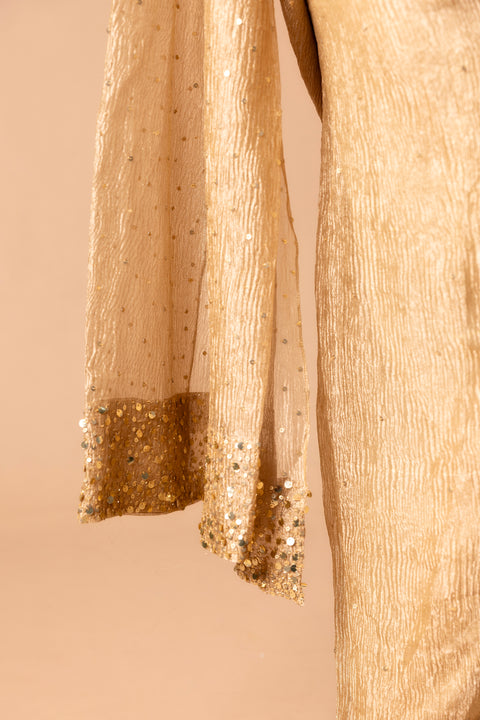 Raw Silk Lehenga And Blouse Paired With Tissue Dupatta