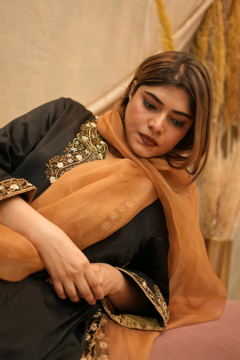 Mehar-E-Shaam Mashru Silk With Organza Dupatta