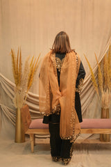 Mehar-E-Shaam Mashru Silk With Organza Dupatta