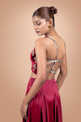 Maroon Hand Embroidered Velvet Saree With Blouse