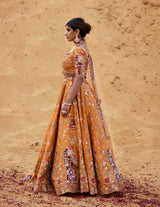 Hamida Banu Begum