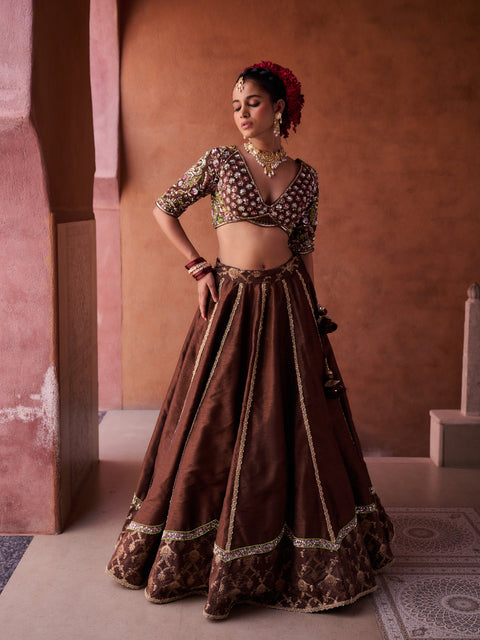 Brown Upada Silk Blouse, Lehenga And Organza Dupatta