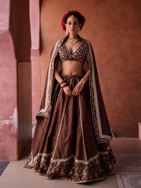 Brown Upada Silk Blouse, Lehenga And Organza Dupatta