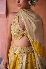 Mustard & Sage Green Silk Blouse, Lehenga And Organza Dupatta
