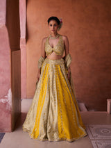 Mustard & Sage Green Silk Blouse, Lehenga And Organza Dupatta