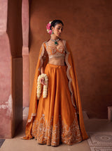 Rust Orange Embroidered Blouse, Shimmer Tissue Lehenga And Dupatta