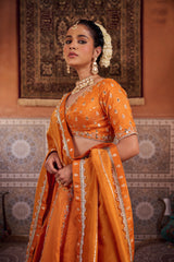 Rust Orange Silk Embroidered Blouse, Lehenga & Dupatta