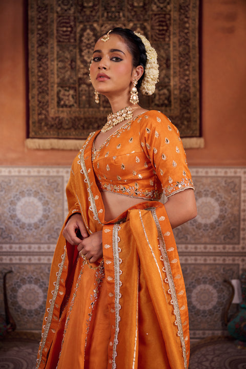 Rust Orange Silk Embroidered Blouse, Lehenga & Dupatta