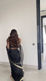 Sitara - E - Noor Saree