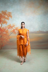Orange Organza Detailing Cotton Silk Kurta Set (3 Pcs)