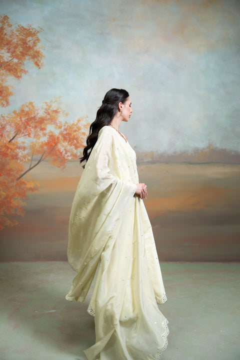 Butter Yellow Mirror Cutdana Pearl Work Raw Silk Anarkali Set (3 Pcs)