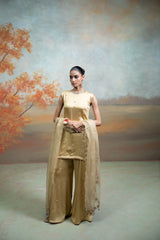 Golden Mirror Zari Work Organza Kurta Set (3 Pcs)