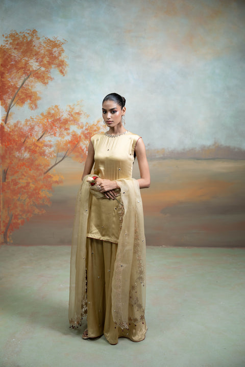 Golden Mirror Zari Work Organza Kurta Set (3 Pcs)