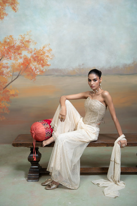 Beige Sequin Work Corset with Net Sharara Set (2 Pcs)
