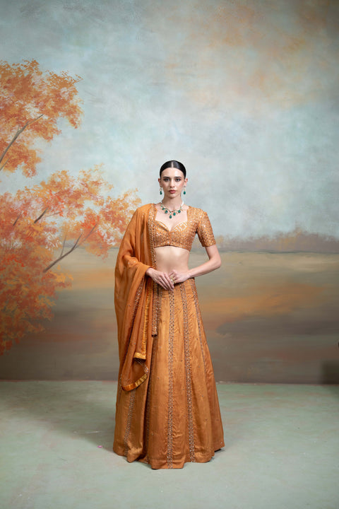 Orange Zardozi Mirror Cutdana Work Raw Silk Lehenga Set (3 Pcs)