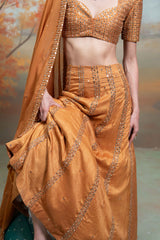 Orange Zardozi Mirror Cutdana Work Raw Silk Lehenga Set (3 Pcs)