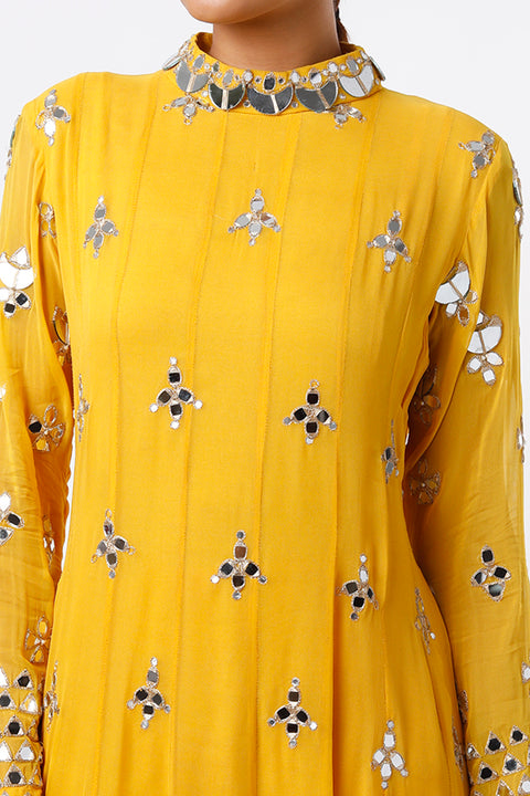Mustard Embroidered Anarkali Set