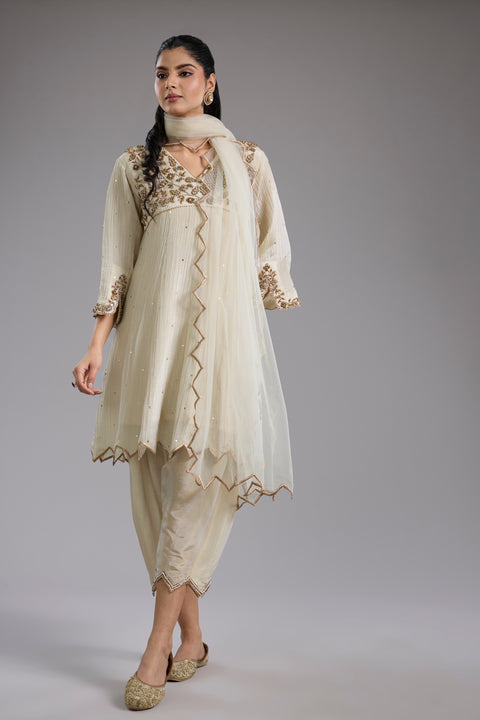 Ivory Crush Tissue Hand Embroidered Anarkali Set