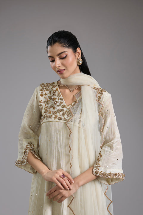 Ivory Crush Tissue Hand Embroidered Anarkali Set
