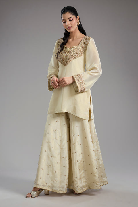 Ivory Tissue Dori Hand Embroidered Sharara Set