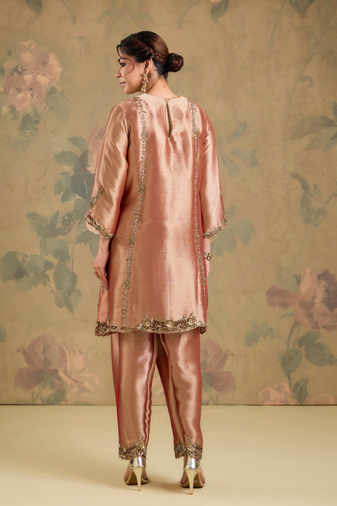 Tissue Handworked Kurta Set with Salwar