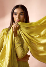 Swara Ira Anarkali