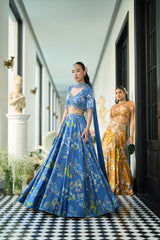 Golden Brown Lehenga With Cape and Blouse