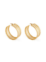 Golden Striped Fence Hoops