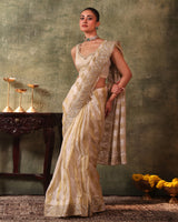 Ivory Tissue Saree