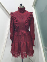 Mesh Maroon Dress