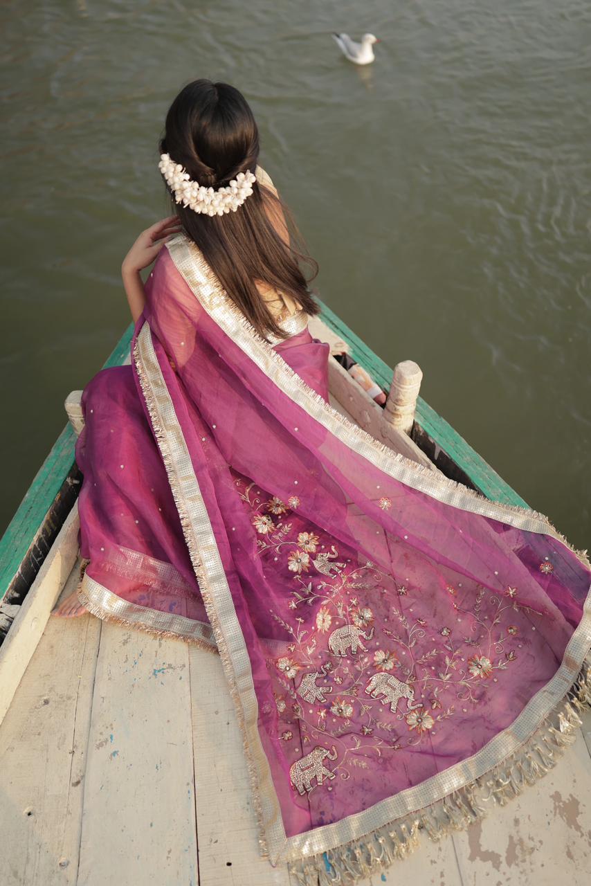 Pure Tissue Silk Saree With Embroidery