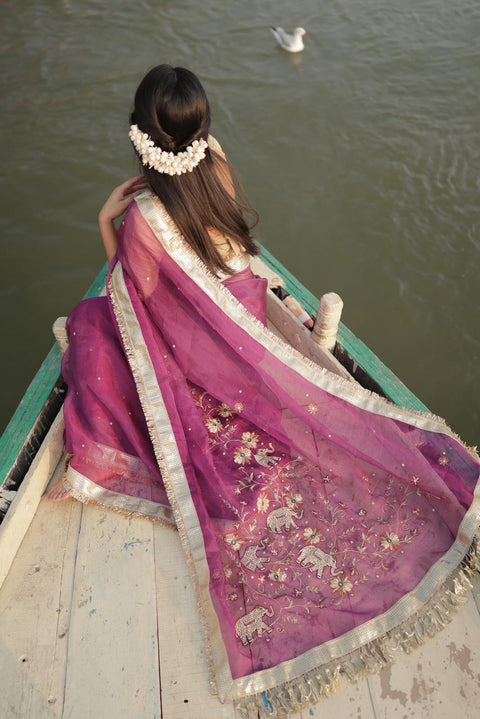 Pure Tissue Silk Saree With Embroidery
