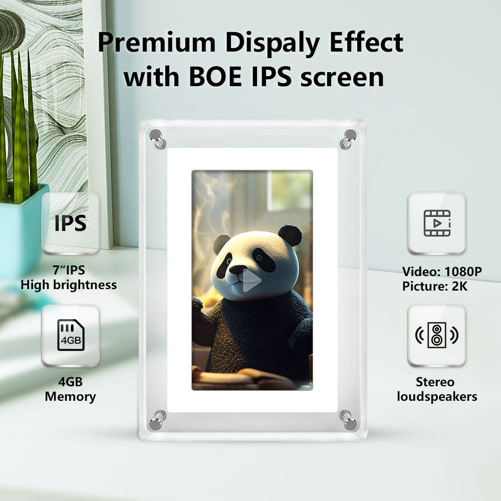 Digital Video Frame