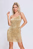 Gold Fringe Dress