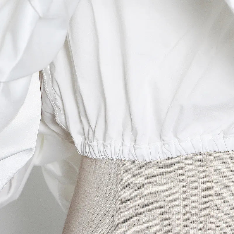 Ruffle Crop Top