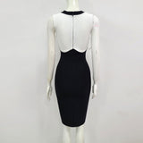 Biz Babe Bodycon Dress